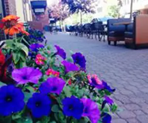 Flowering planters and outdoor seating