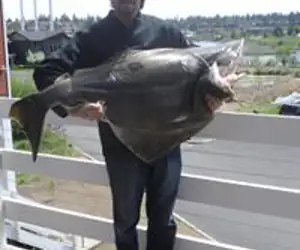 chef holding a large fish